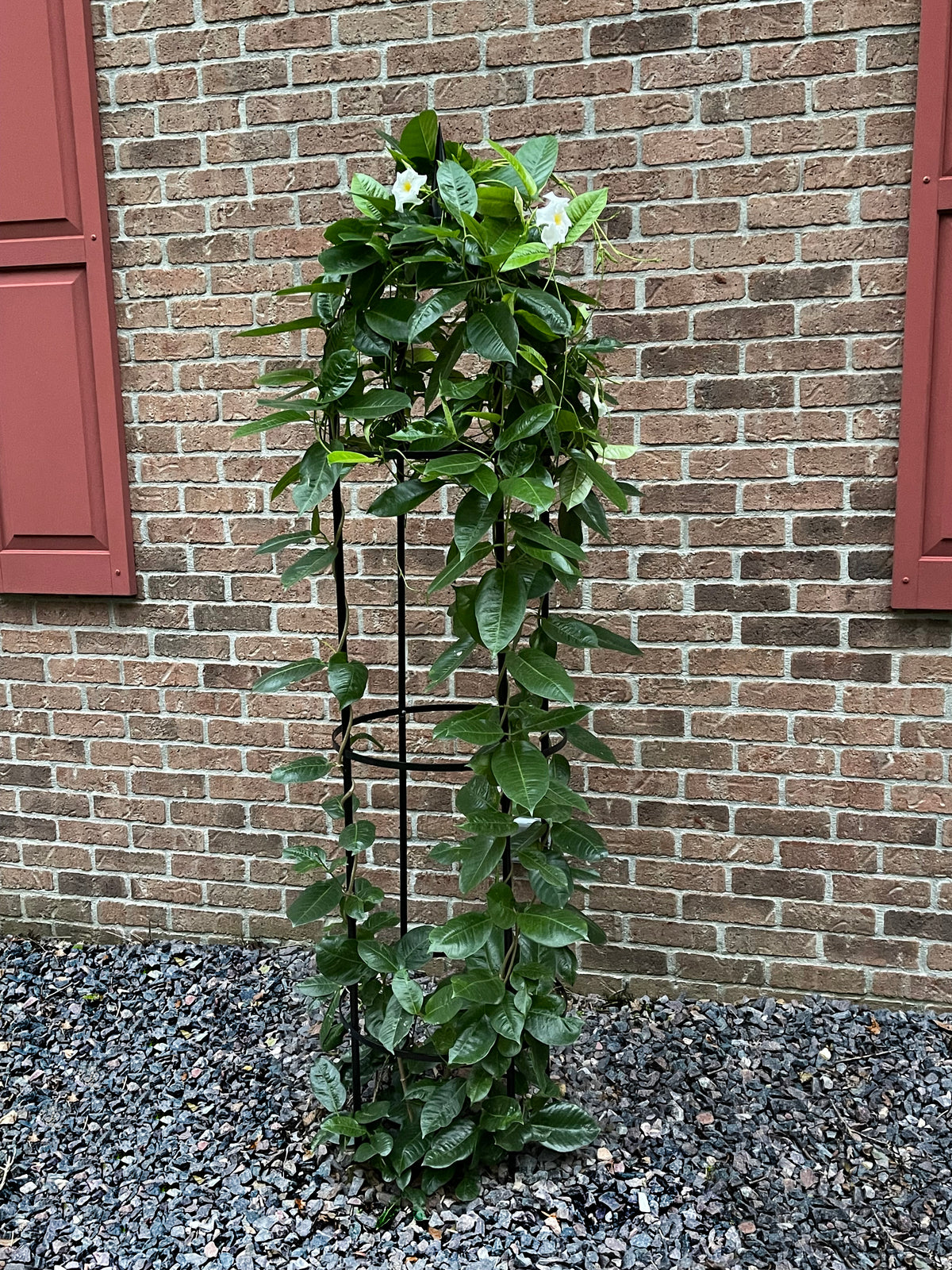 94.5" Obelisk RHS