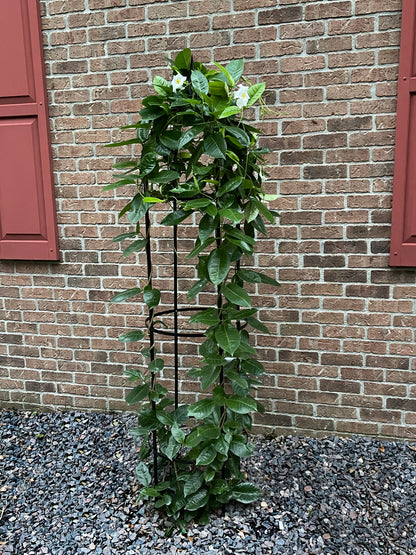 94.5" Obelisk RHS