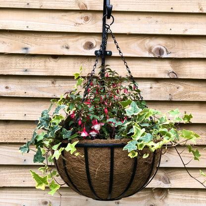 16" Preformed Coco Basket Liner RHS