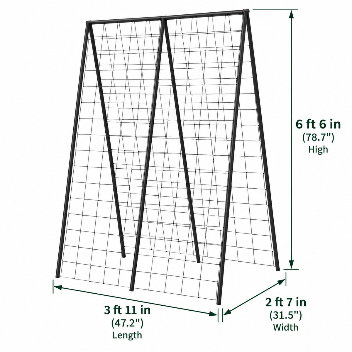 Pea &amp; Bean Steel Frame