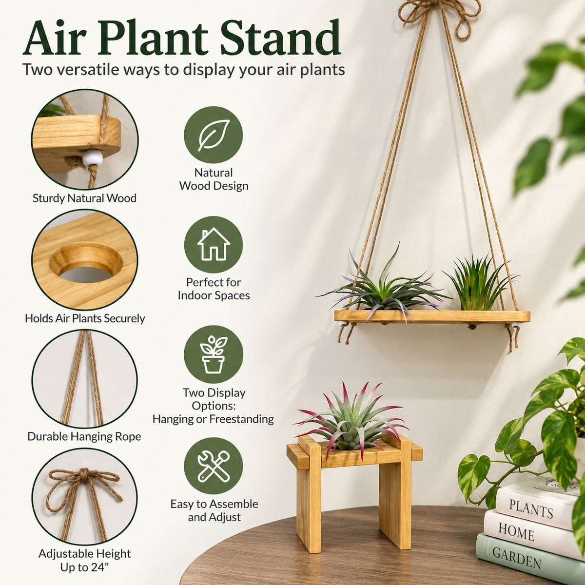 Air Plant Stands Kit
