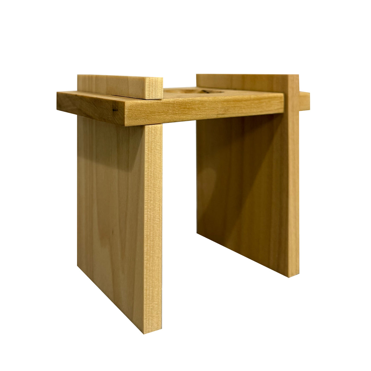 Air Plant Stands Kit