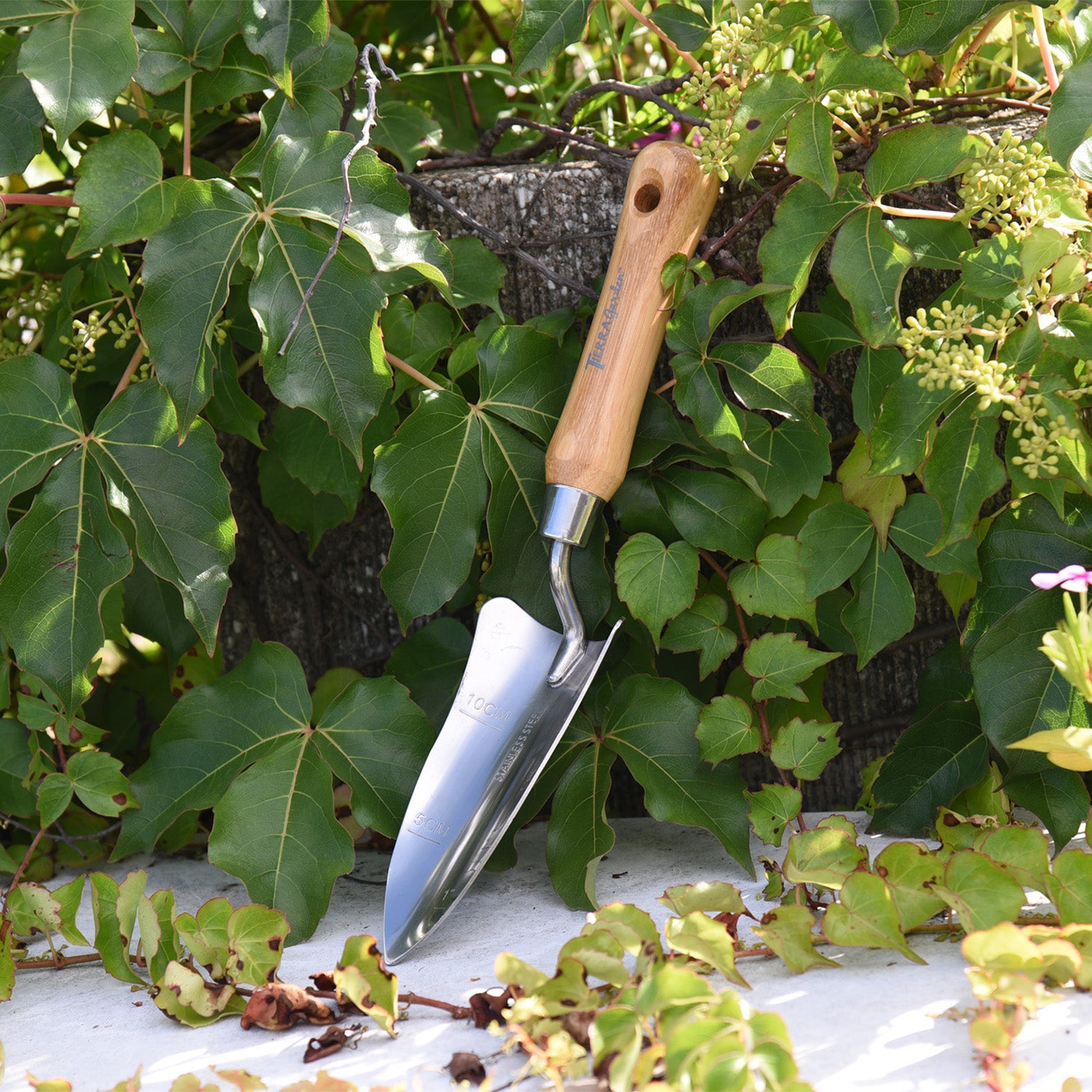 Stainless Steel Transplanter with Bamboo Handle