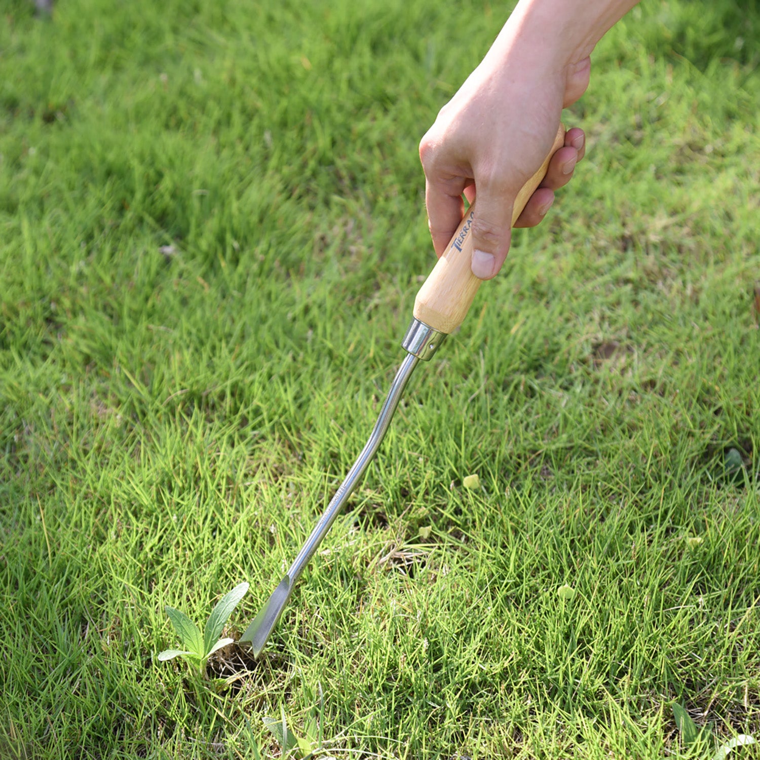 Stainless Steel Weeder with Bamboo Handle