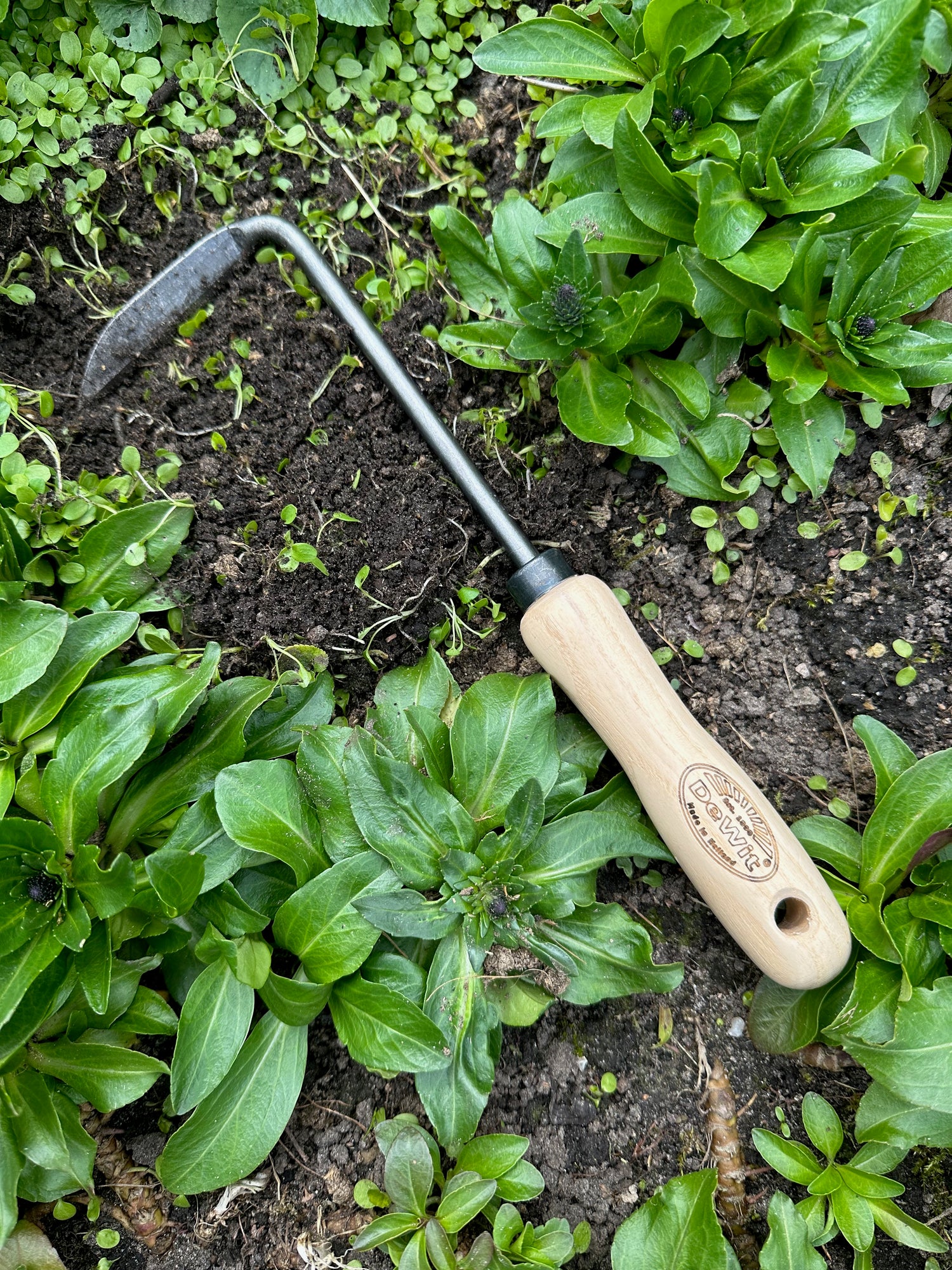 DeWit Weeder - Cape Cod Right Hand